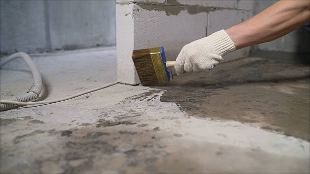 SJ Waterproofing Pros Waterproofing coverage map for Collinwood, TN and surrounding area
